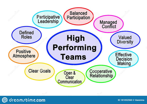 High Performance Teams Inside the Company